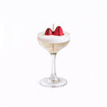 Sippin' Pretty (XO Closeout)